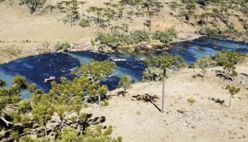 River house urubici rio crioulas